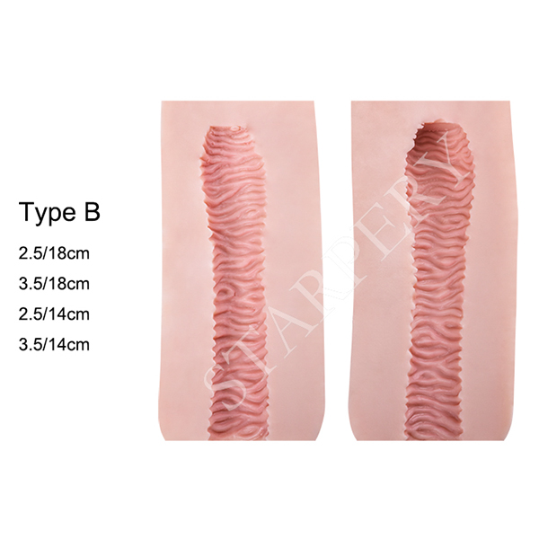 Vaginal texture B